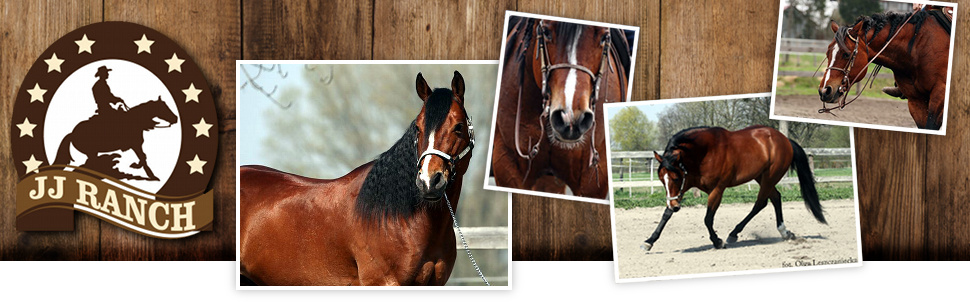 JJ Ranch