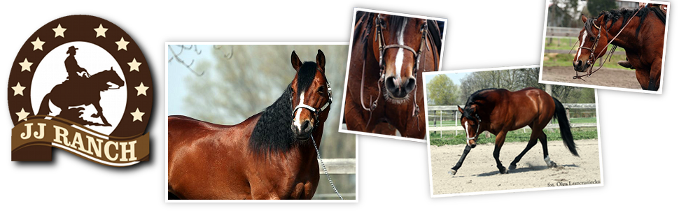 JJ Ranch